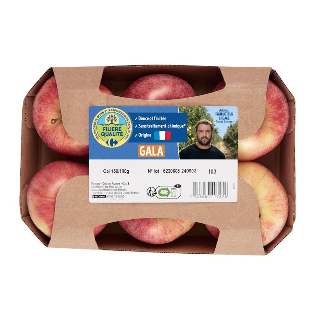 Pommes gala agroécologie FILIÈRE QUALITÉ CARREFOUR - la barquette de 6 fruits