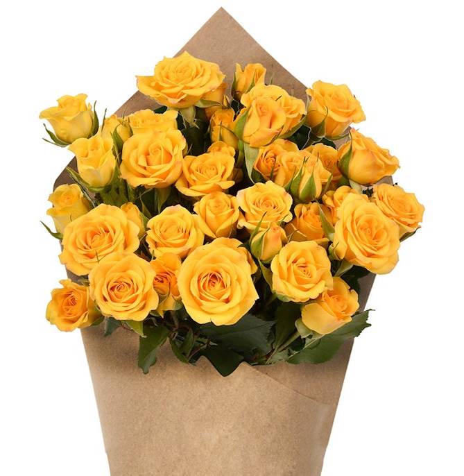 Spray Roses - Yellow