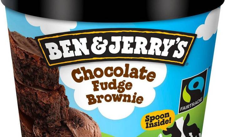 Ben & Jerry's Chocolate Fudge Brownies