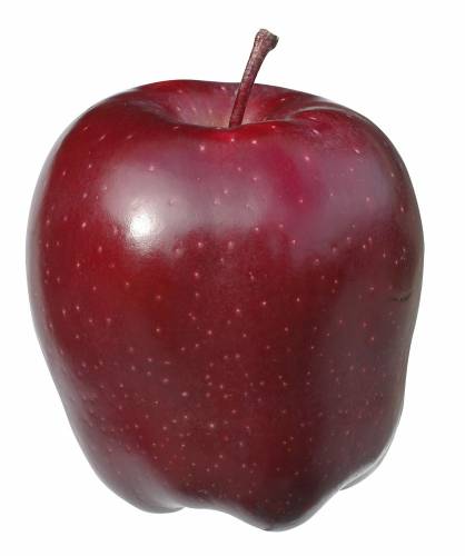 Apples Red Delicious Eastern