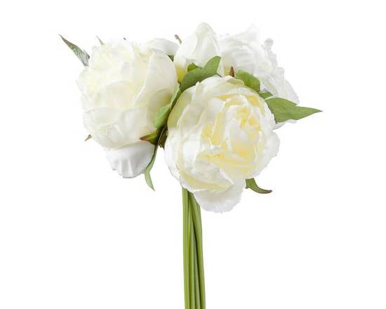 Torre &  Tagus · Bouquet Crème (None) - Cream Bouquet