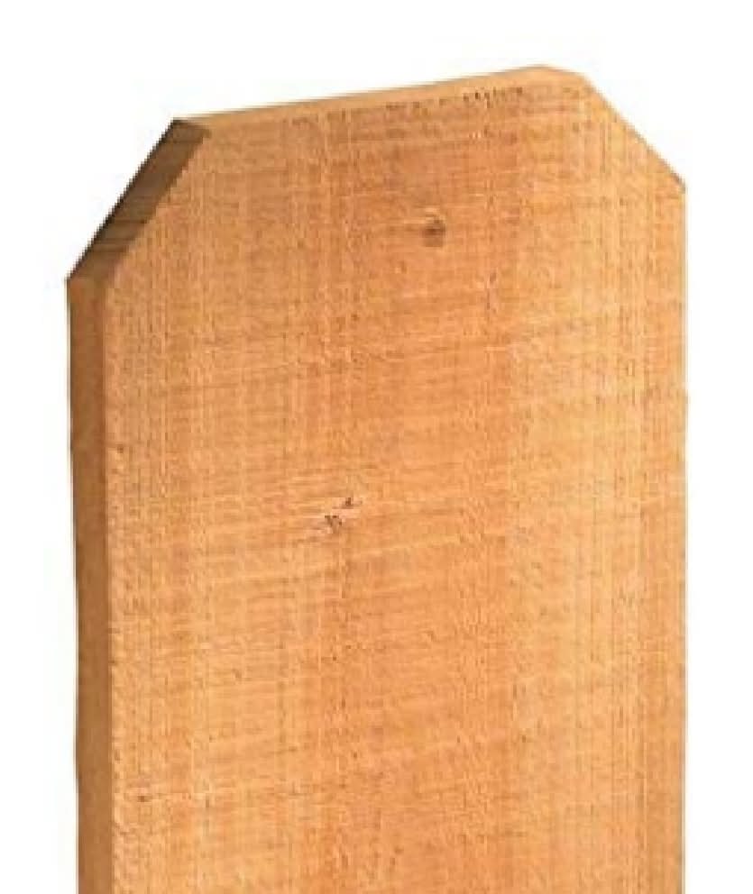 5/8-in x 5-1/2-in x 6-ft Western Red Cedar Dog Ear Fence Picket