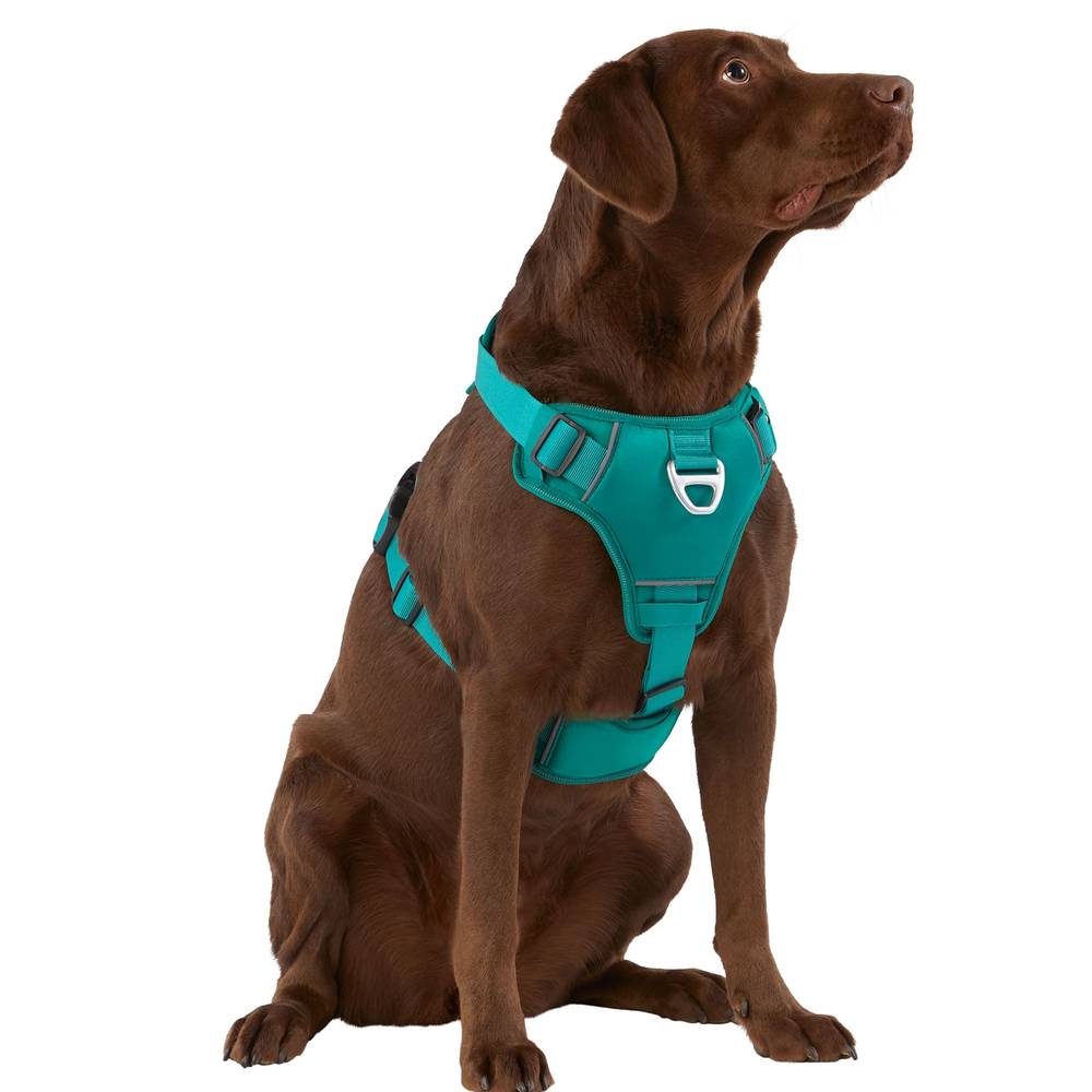 Arcadia Trail™ Neoprene Dog Harness - Reflective, Water-Resistant (Color: Green, Size: Small)