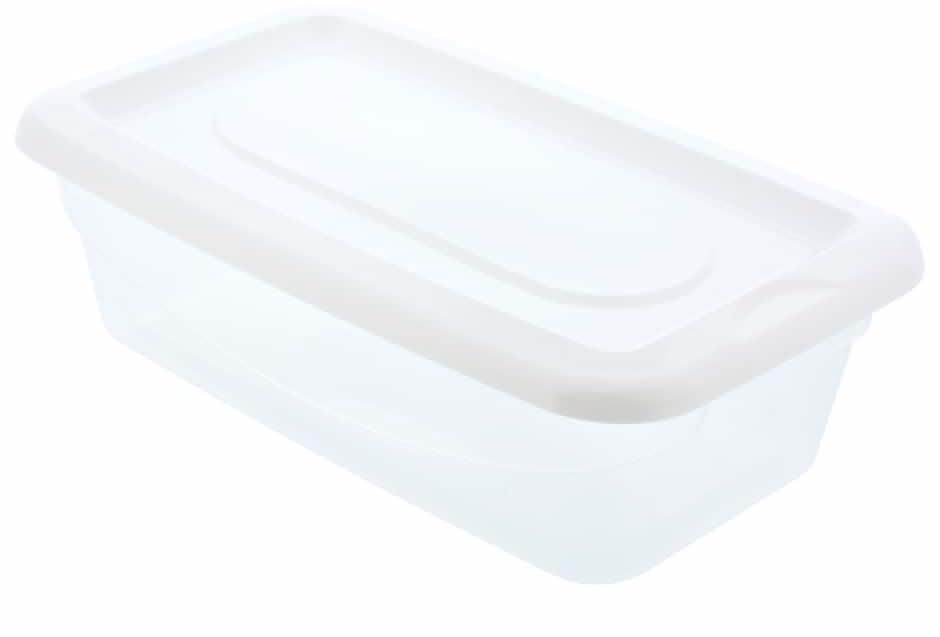 Essentials Plastic Storage Boxes With Lids