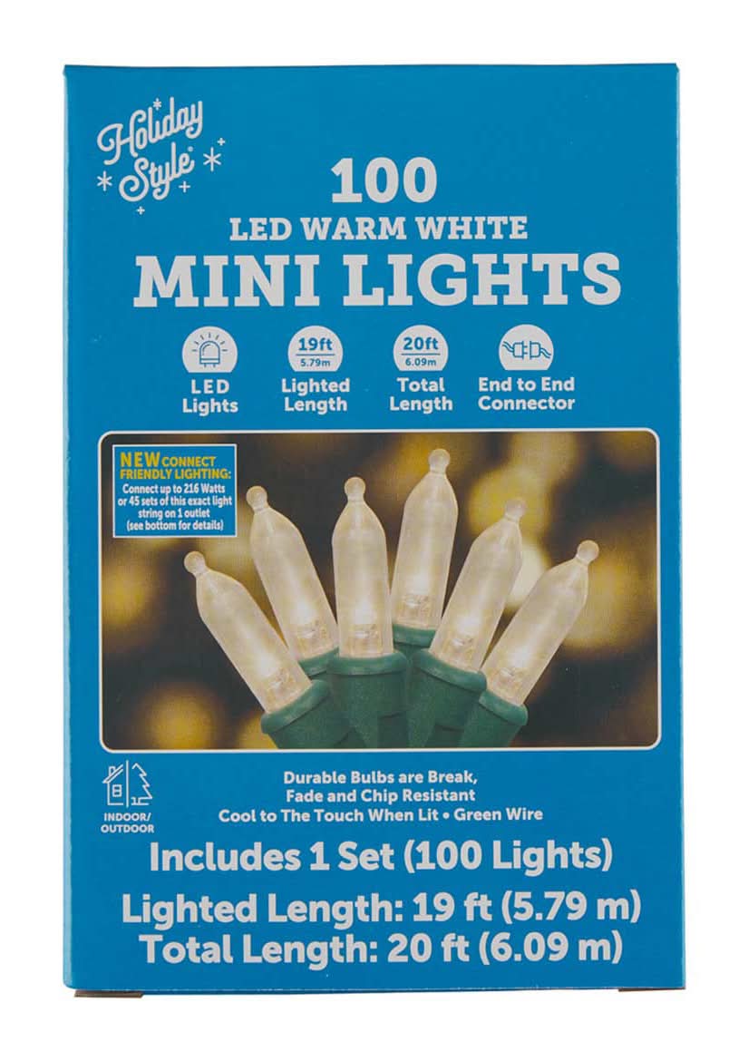 Holiday Style Christmas Decorative Led Lights 100 Ct - Assorted