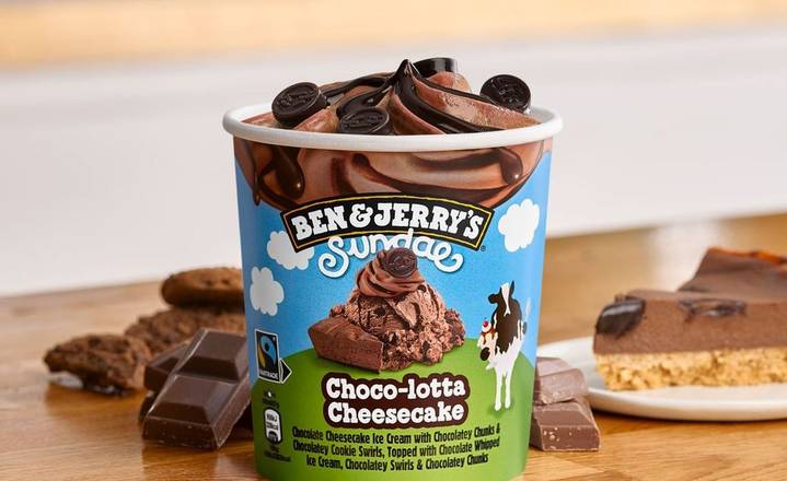 Ben & Jerry's Choco-lotta Cheesecake Sundae Ice Cream Tub 465ml