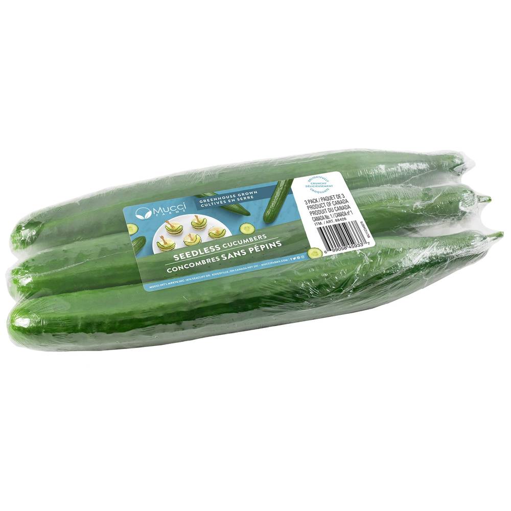 English Cucumbers 3-Pack