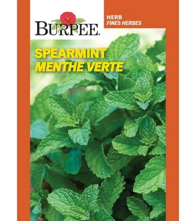 Burpee Spearmint, Plant Seeds For Home Garden