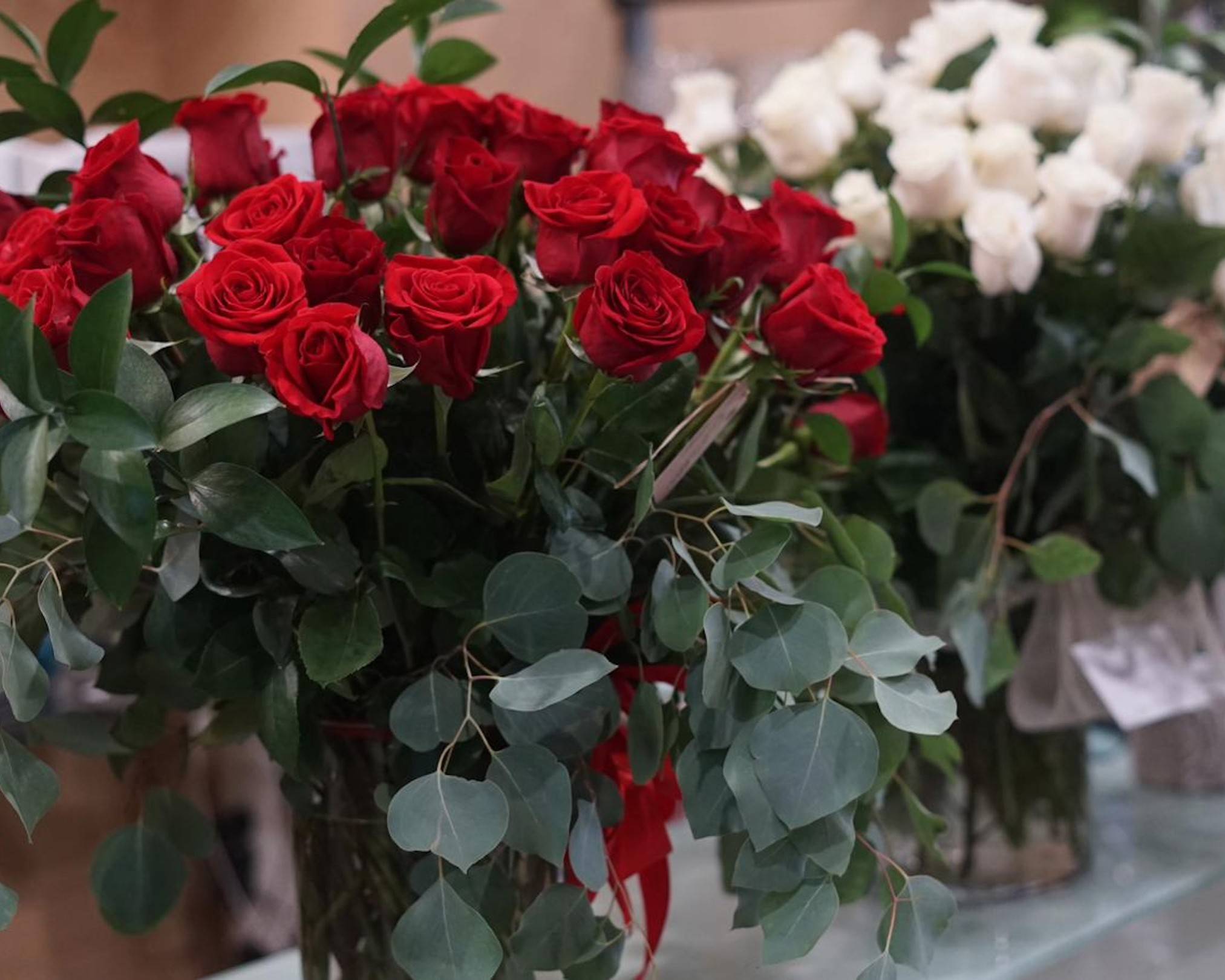 flores preservadas rojo rosa eterna flor en recipiente de cristal san  valentin