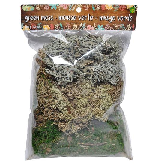 Crafts Green Moss In A Bag (##)