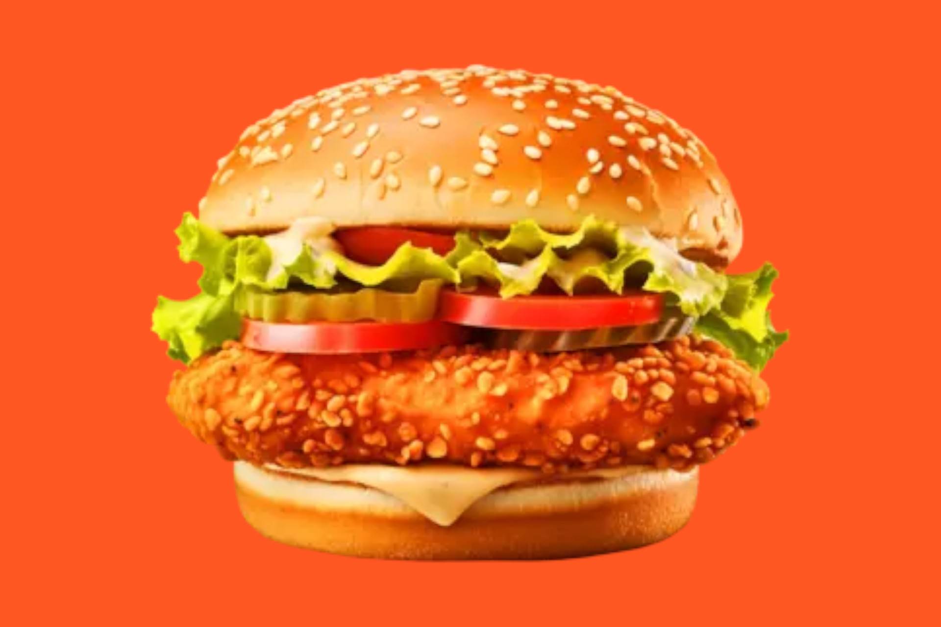 Chicken Burger🍔🍔