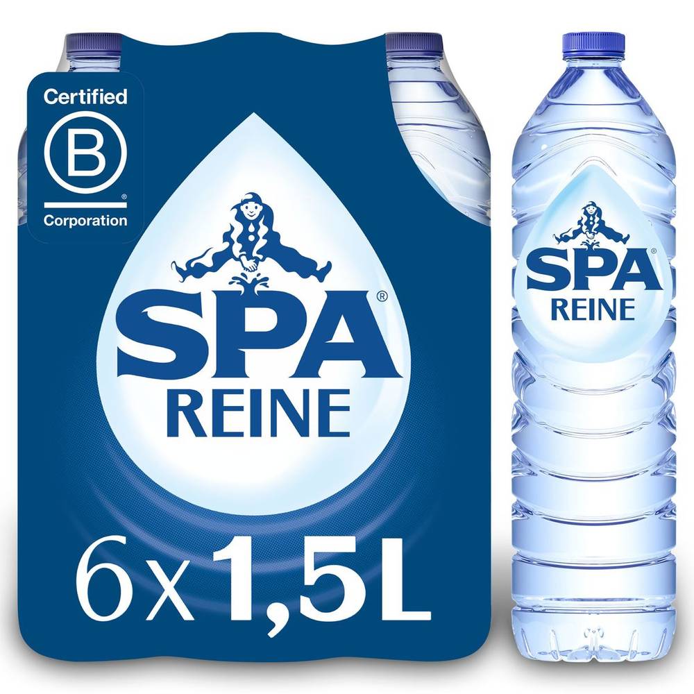 SPA REINE Eau Minérale Naturelle Non Pétillante 6x1.5L