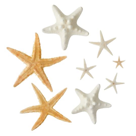 U.S. Shell Starfish Mix Decor, White-Gold