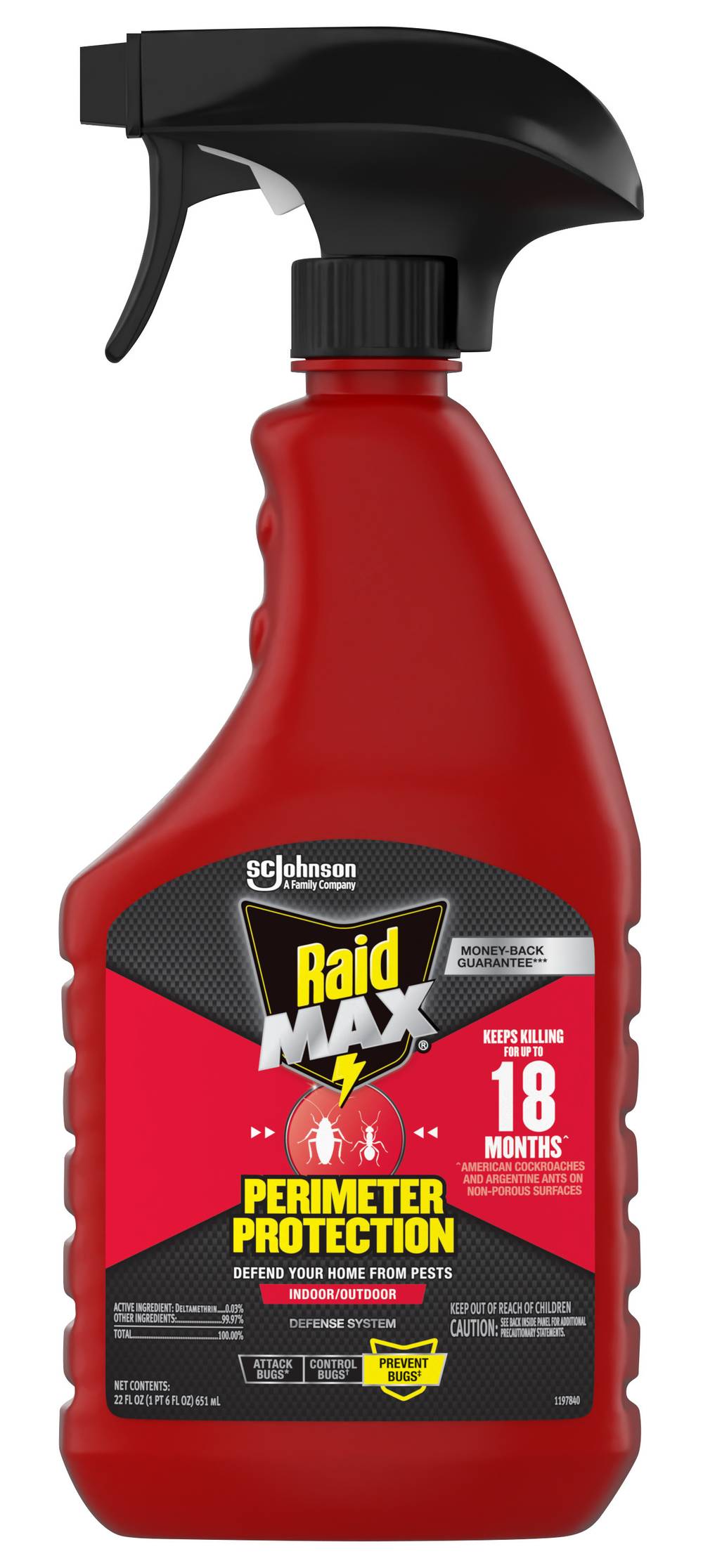 Raid Ant & Roach Kitchen Defense Water Based (22 fl oz)