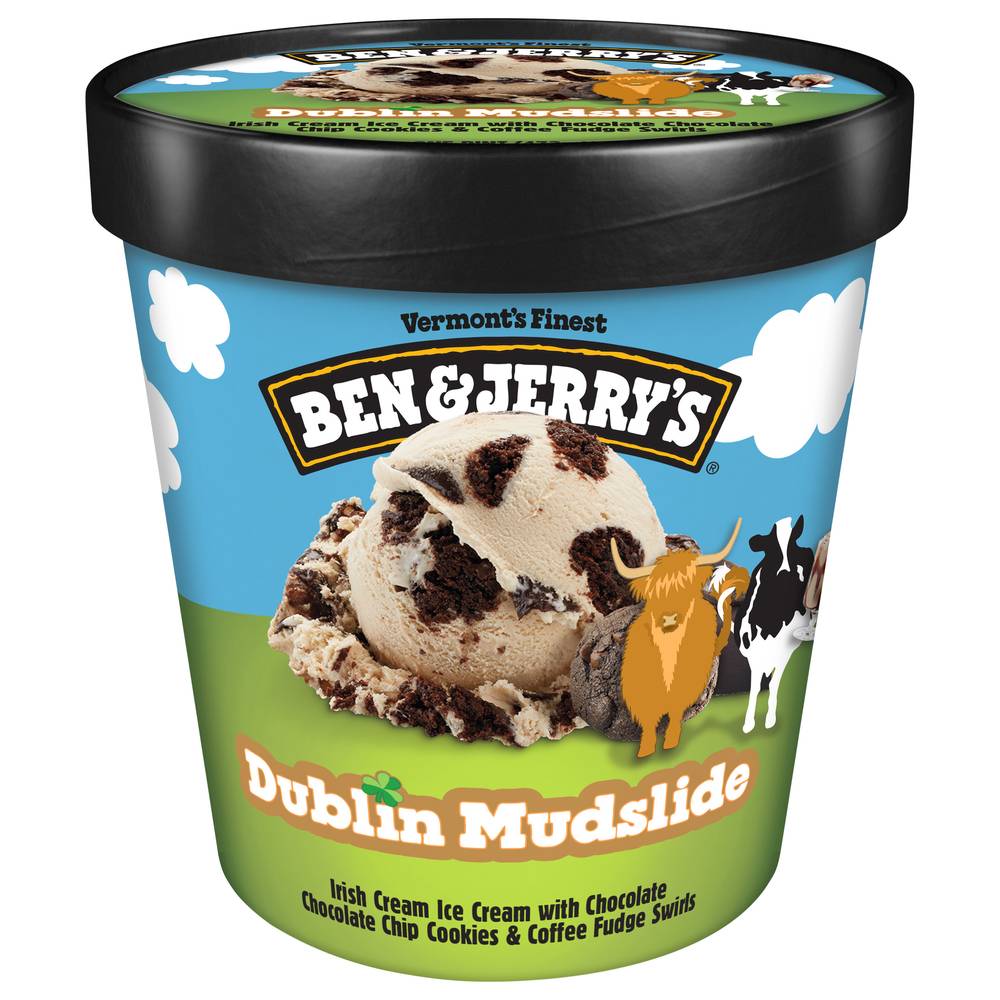 Ben & Jerry's Dublin Mudslide Ice Cream (1 pint)