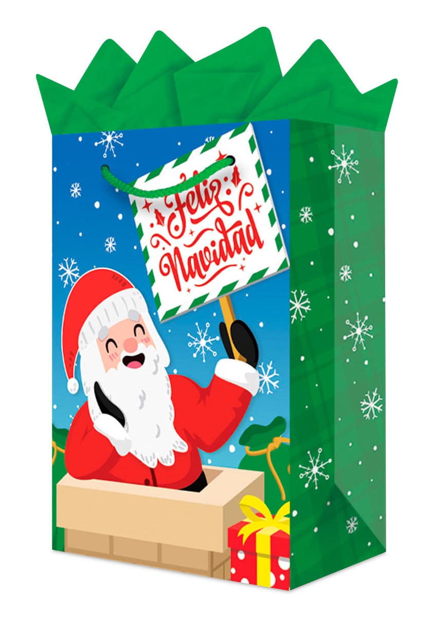 BOLSA REG GMK MED SR/SRA CLAUS