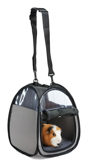EveryYay Small Animal Pet and Bird Carrier, Large