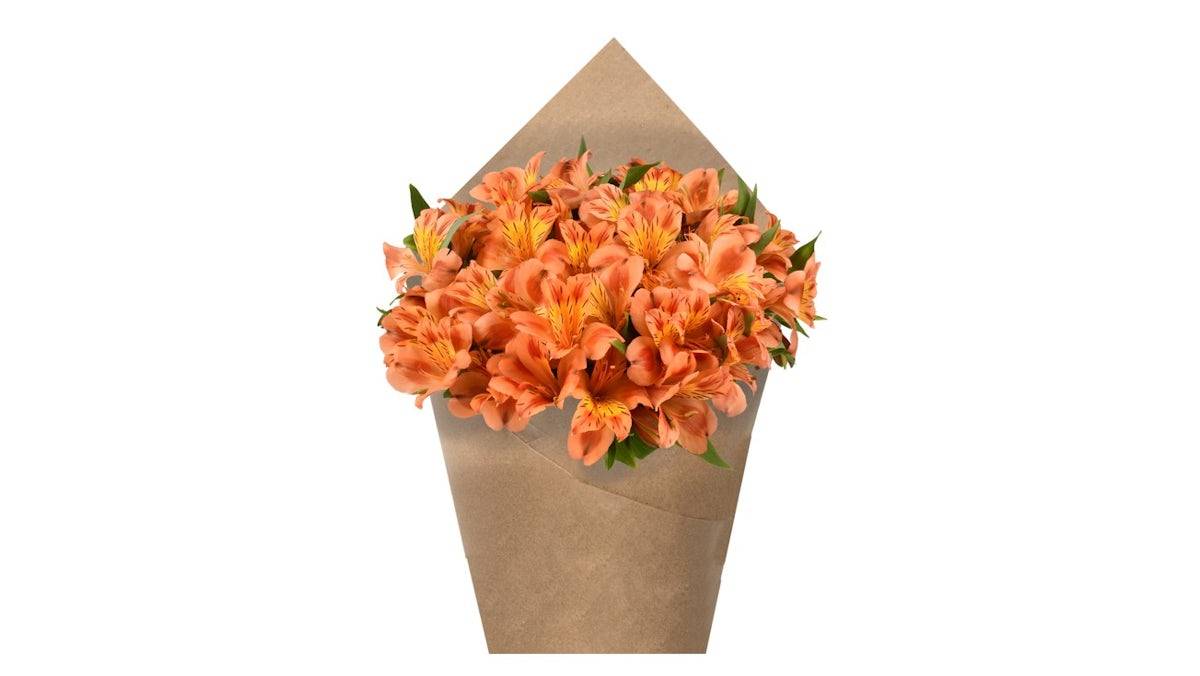 Alstroemeria Bunch - Orange, 6 stem