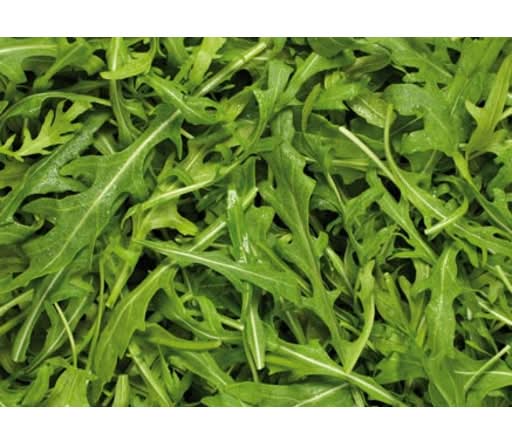 Coolibah Herbs Wild Roquette (100g)