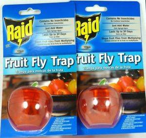 Raid - Fruit Fly Apple Trap - 2 Ct