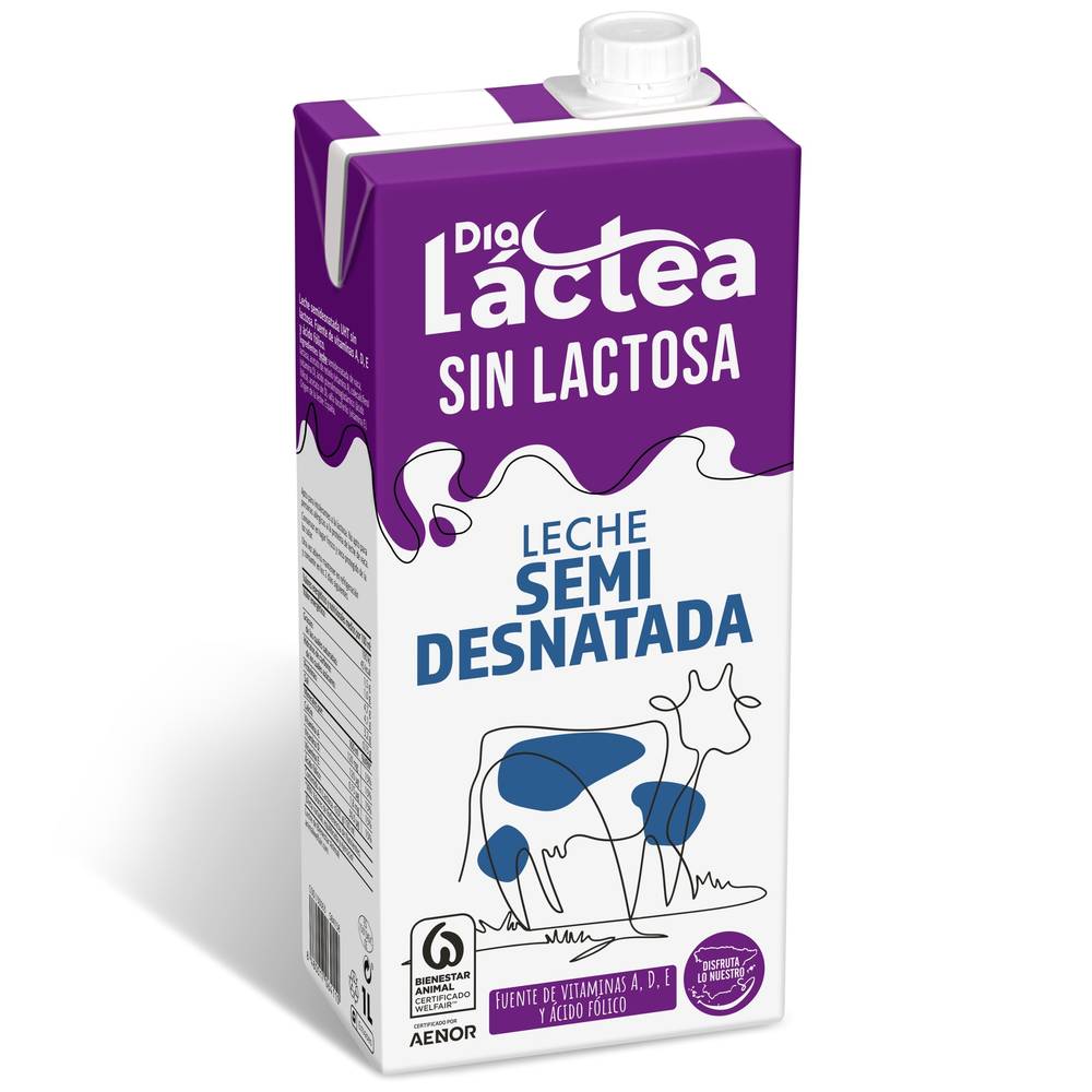 Leche Semidesnatada Sin Lactosa Dia Láctea Brik 1 L