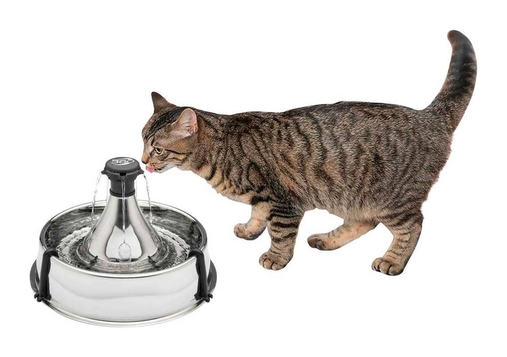 PetSafe Drinkwell Stainlees Multi-Pet Fountain