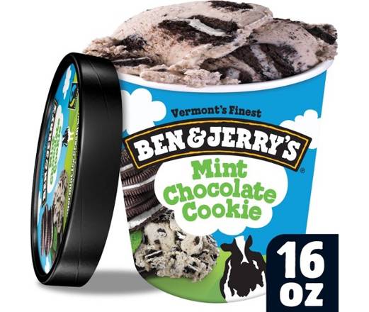 Ben & Jerry's Mint Chocolate Cookie Ice Cream 16oz Carton