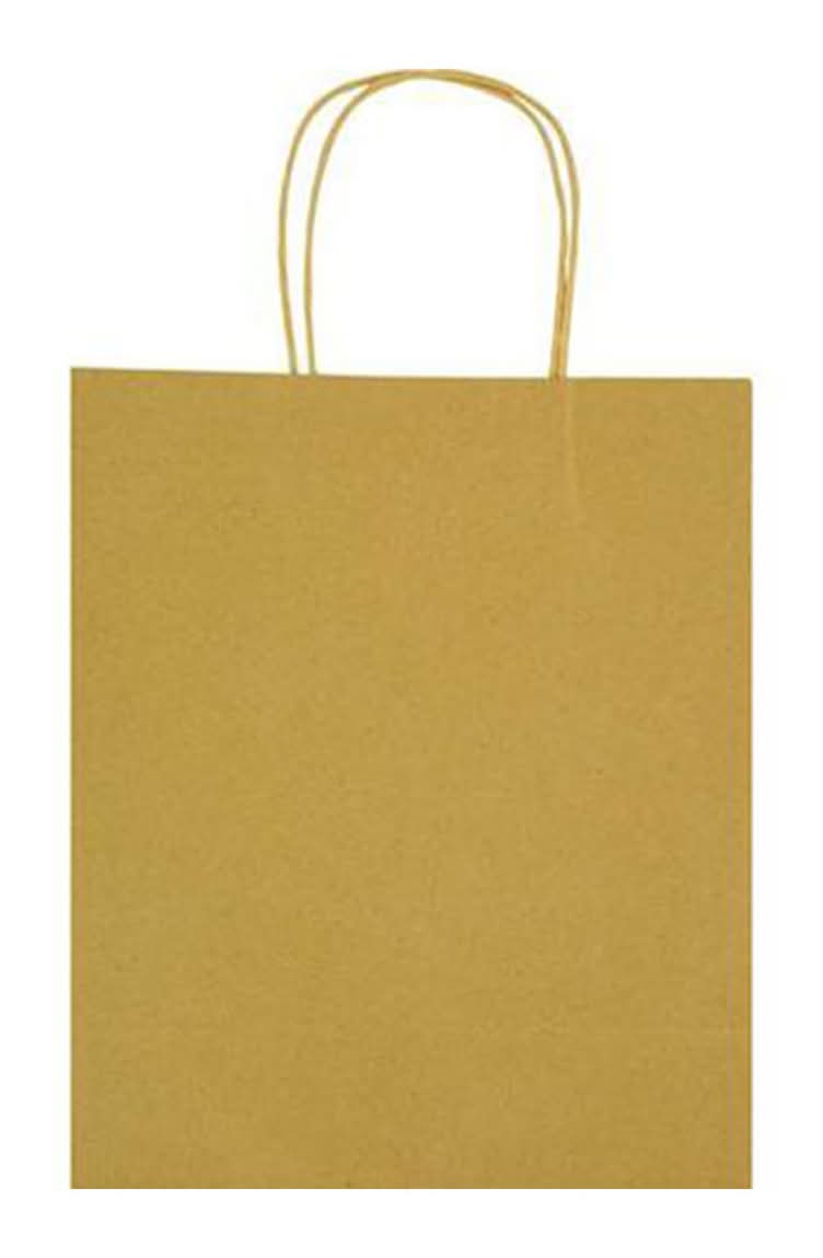 Dg Party Kraft Gift Bag Large