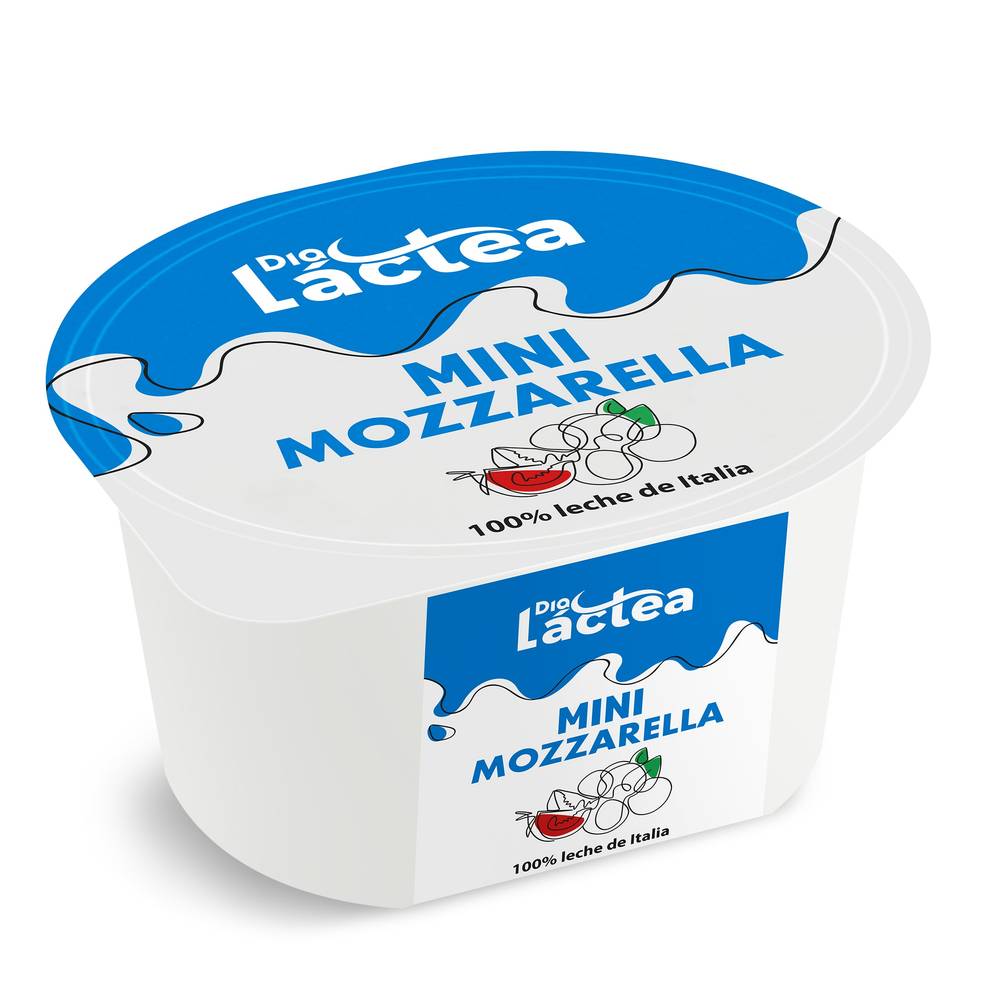 Mini Queso Mozzarella Dia Láctea Tarrina 125 G