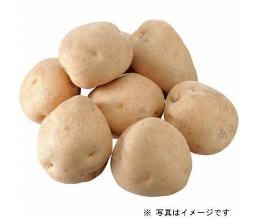 じゃがいも (1袋)