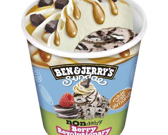 Ben & Jerry's Vegan Non Dairy Berry Revolutionary Sundae  Ice Cream 427ml