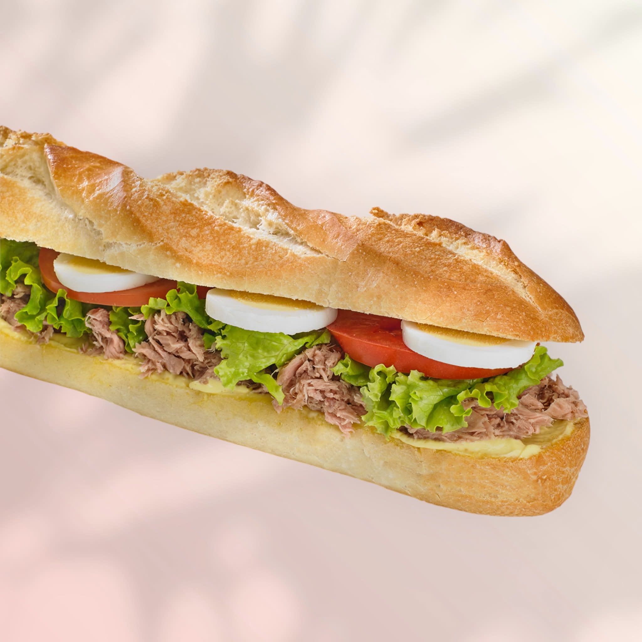 🥙🥙Sandwich Thon
