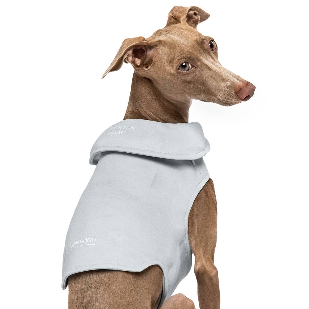 Canada Pooch Dog Weighted Calming Vest, Large, Grey