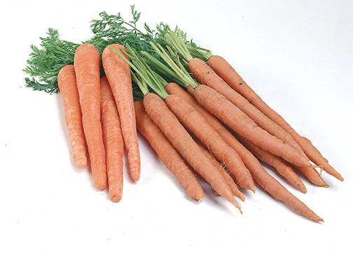 Carrots - 5 lb bag (1 Unit per Case)