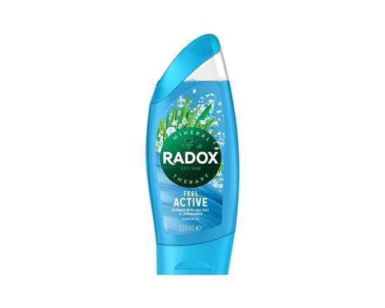 Radox Feel Active Shower Gel 250 ml