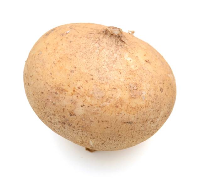 Jicama Vegetable