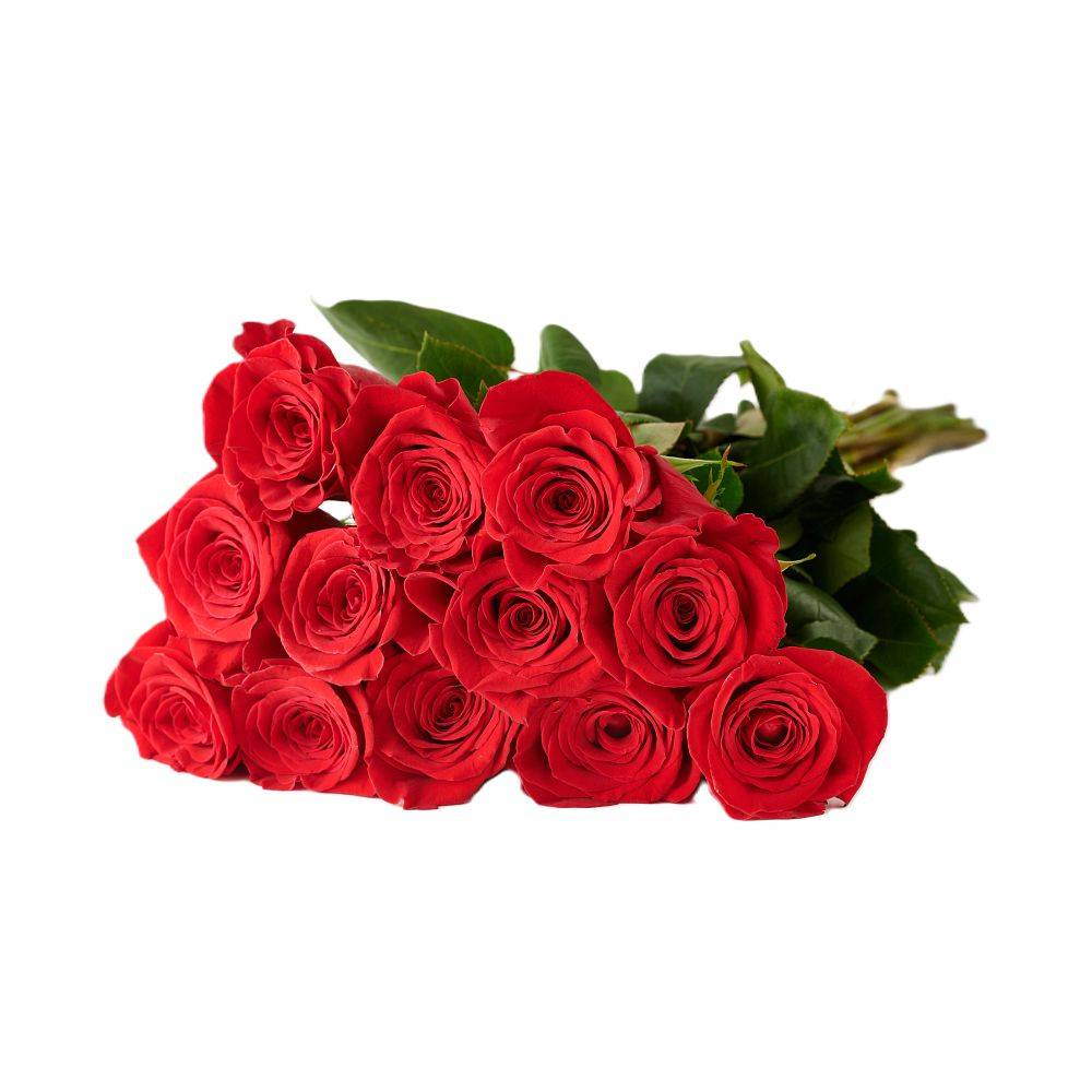 Dozen Red Roses