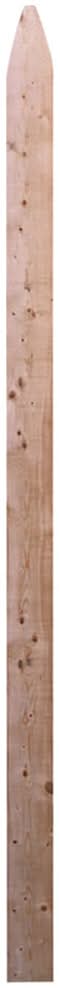 3/4-in x 3-in x 6-ft Spruce pine fir Stockade Fence Picket