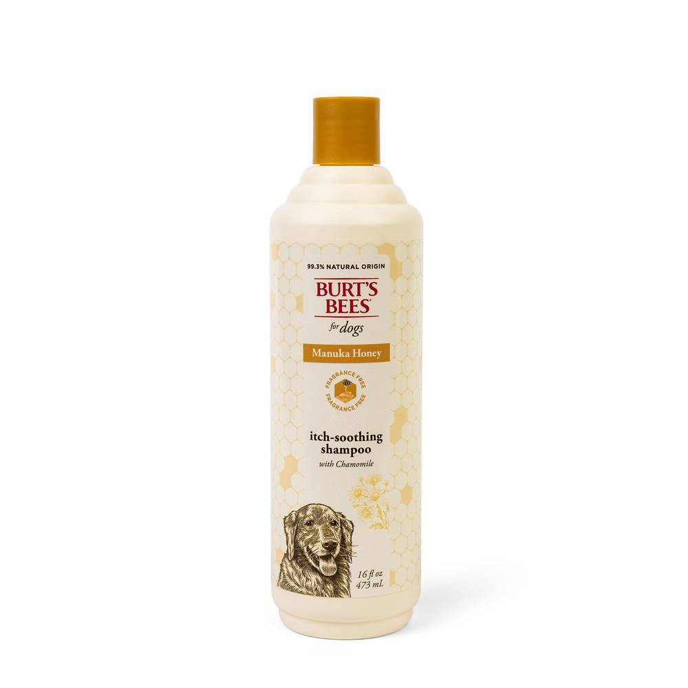 Burt's Bees® for Pets Itch Shampoo - Manuka Honey and Chamomile (Size: 16 Fl Oz)