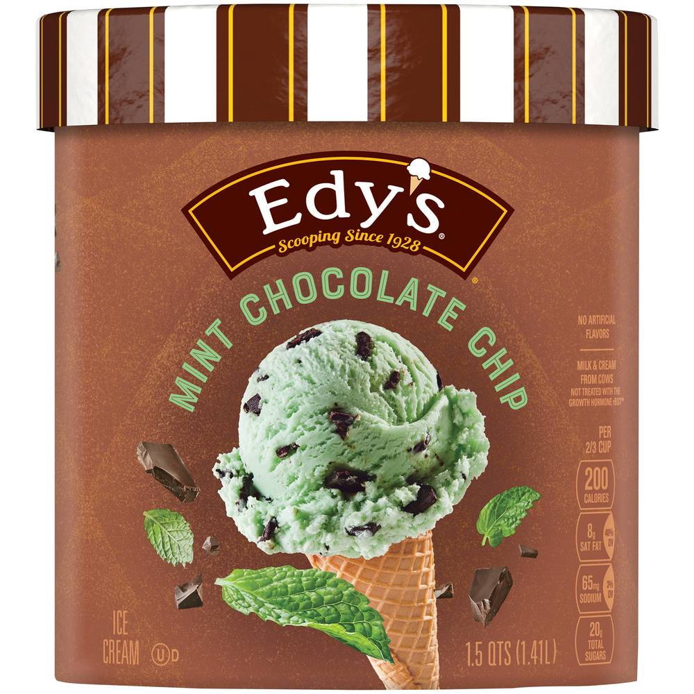 Edy's Mint Chocolate Chip Ice Cream