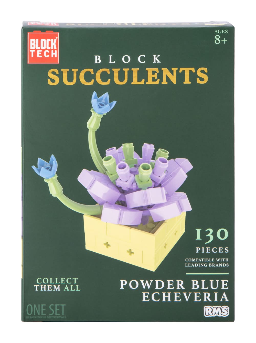 Block Tech® Block Succulents Set Powder Blue Echeveria