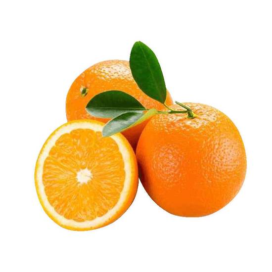 Orange sélection - Variété Naveline - Cat. 1