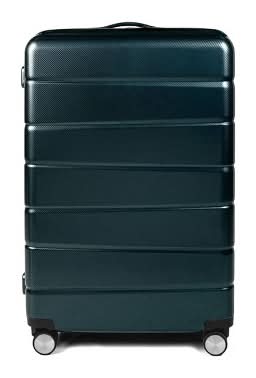 Skyline Hardside Checked Spinner Suitcase, L, Sea Moss