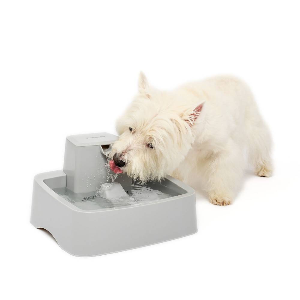 PetSafe® Drinkwell® Pet Fountain (Color: Grey, Size: 1 Gal)
