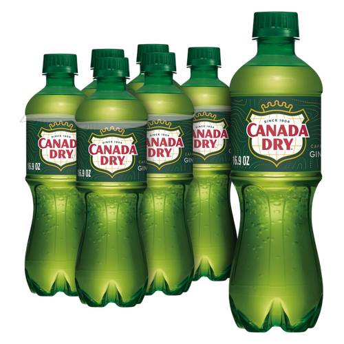 Canada Dry Ginger Ale 6pk 16.9oz Btl