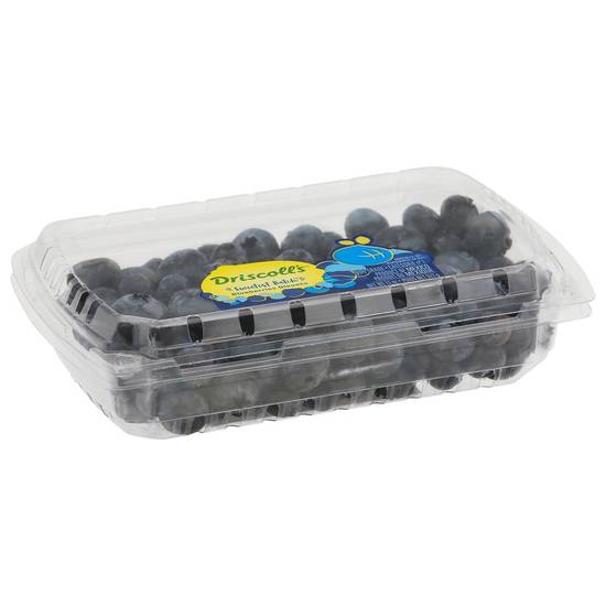 Order Driscoll's · Limited Edition Sweetest Batch Blueberries (11 oz) food online from Safeway store, Eureka on bringmethat.com