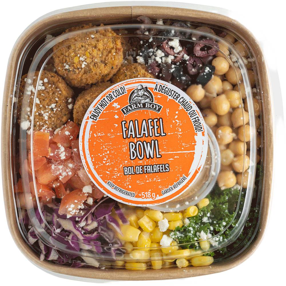 Farm Boy™ Falafel Bowl (518 g)