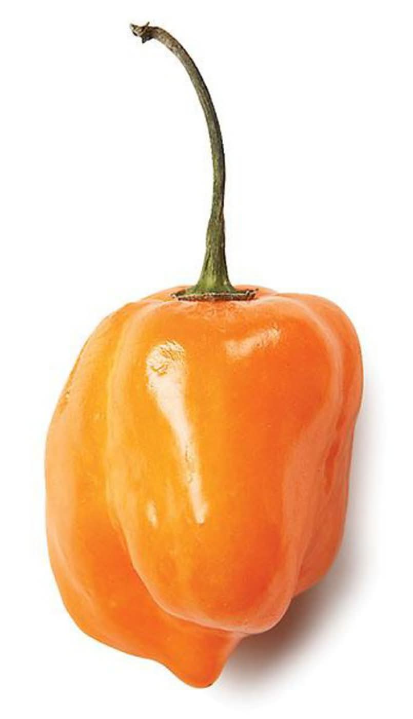 Habanero Chile Pepper, Each Per Pound