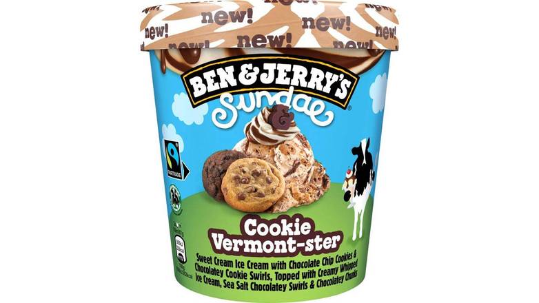 Ben & Jerry's sundae cookie vermont-ster fairtrade 427 ml