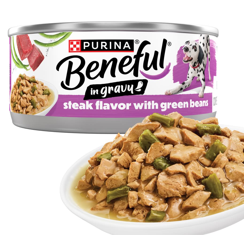 Purina Beneful With Green Beans in Gravy Wet Dog Food, Steak (5.5 oz)